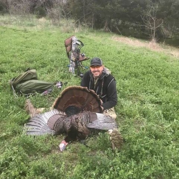 Meet your Posher, Jerry - Picture 1 of 1